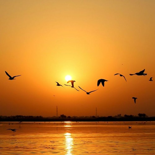 You're Only As Free As You Allow Your World To Be