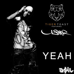 Tiger Toast Feat Usher - Yeah (ASIL Mashup)