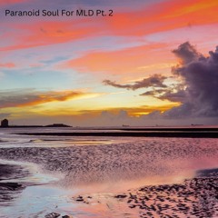 Paranoid Soul For MLD Pt. 2