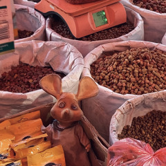 Z O O S A L M M O S, viii:ix