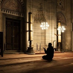 أَلا إِنَّ أَوْلِيَاءَ اللَّهِ لا خَوْفٌ عَلَيْهِمْ وَلا هُمْ يَحْزَنُونَ | هيثم الدخين