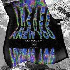 DJYOUTH - I Never Knew You