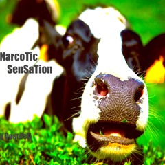 Narcotic Sensation