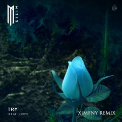 MitiS - Try feat. RØRY (XIMFNY REMIX)