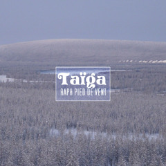 Taiga