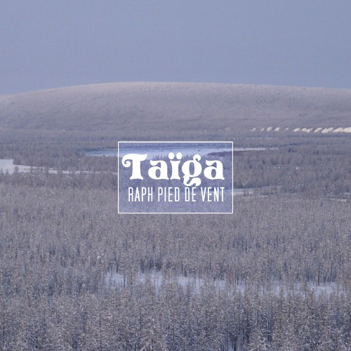 Taiga