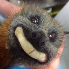 freddy vs jason (2022 draft)