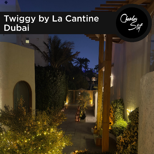 Twiggy Dinner #1 (Soulful House)