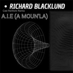 Richard Blacklund - A I E (Ced ReWork Remix)