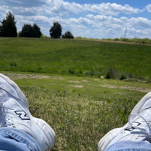 Sunshine