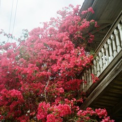 S36: Short Cuts: Signal To Noise 1/9