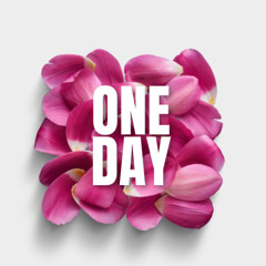 Divorce Anthem One Day (You're gonna wish we never met)
