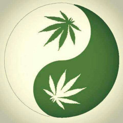 TESÃO SUPREMO PORRA FODASE