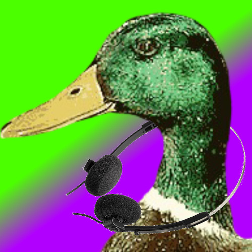 Let's Get Quacking