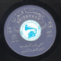 د. محمد عبدالوهاب - (قصيدة) الهوى والشباب ... عام ١٩٣١م