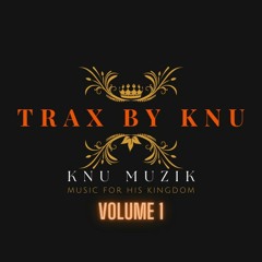 Time Flies - Trax by KnU (Exclusive Rights - email knumuzik@gmail.com for details.)