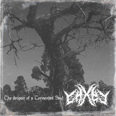THE DESPAIR OF A TORMENTED SOUL [PROD. NVV]