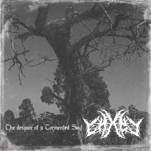 THE DESPAIR OF A TORMENTED SOUL [PROD. NVV]
