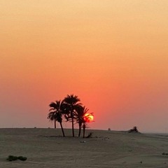 سورة السجدة - عبدالرحمن مسعد