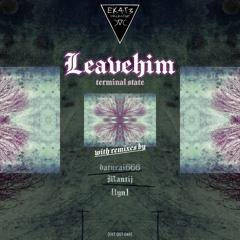 TERMINAL STATE ([lyn] Remix)