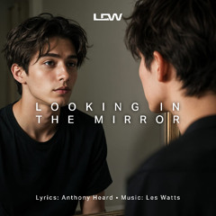 Looking In The Mirror