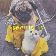 SPRING 19