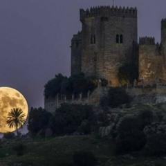 طال الشوق علي يا حمامة - محمد بشير الدولي.mp3