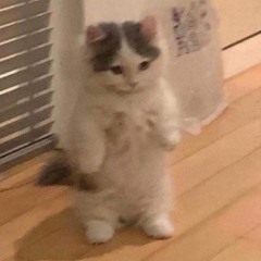 saddest lil baby in the room