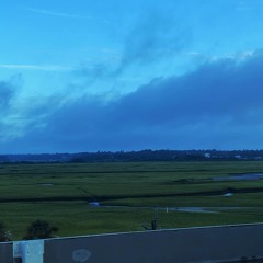 Dontwannaletgo w/ bnzo$hawty