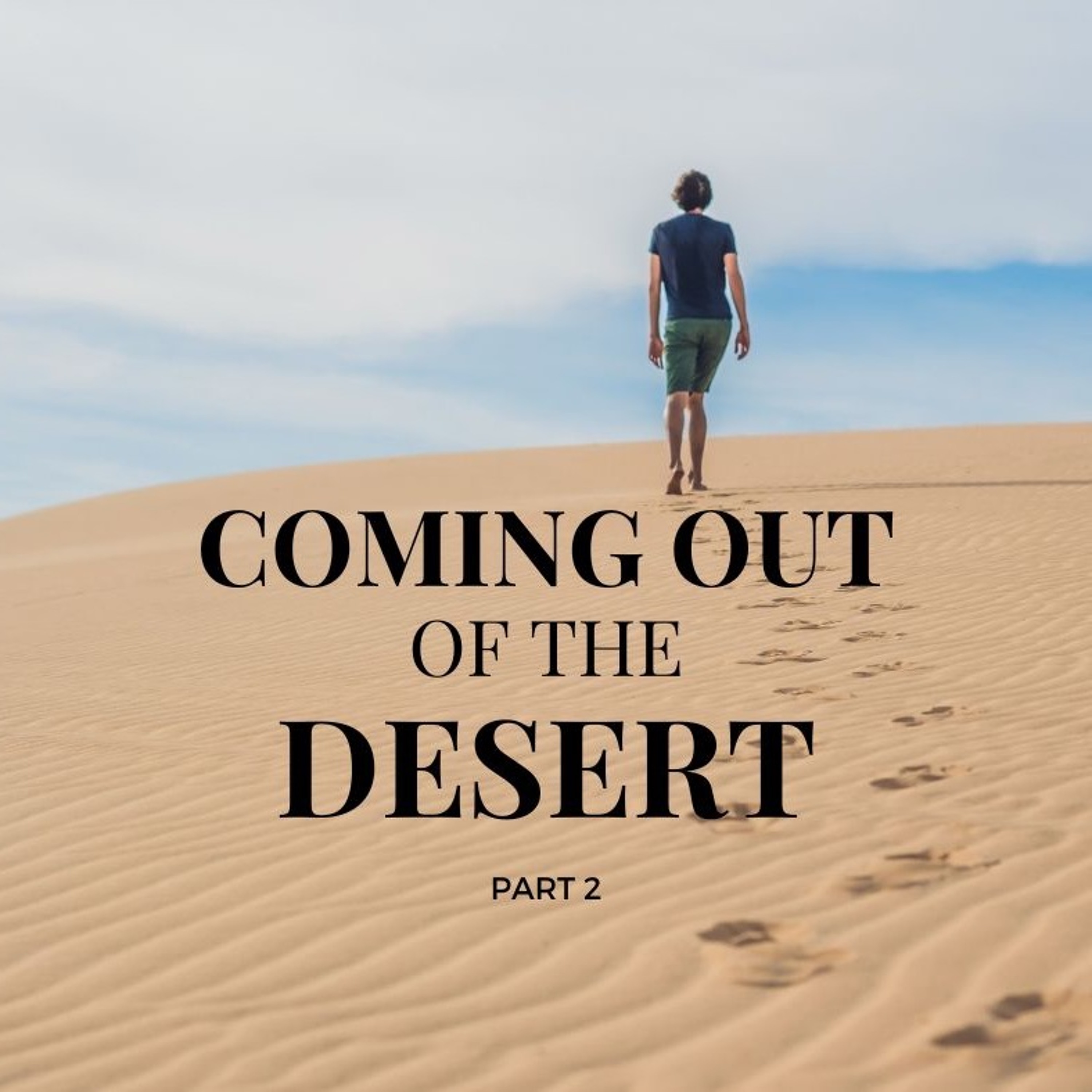 Coming Out of the Desert (PT. 2) // Pas Subash Cherian episode artwork