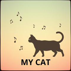 my cat
