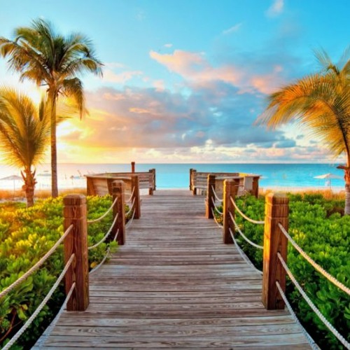 คำศัพท์ top background DOWNLOAD