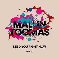 Mallin, Toomas - Need You Right Now (Extended Mix)