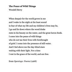 21 The Peace Of Wild Things by Wendell Berry