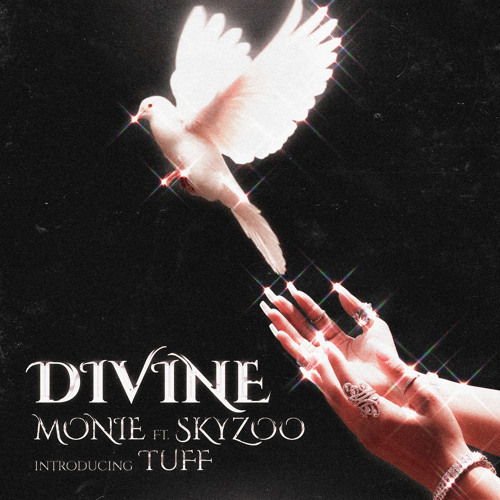 Divine (feat. Skyzoo & TUFF)