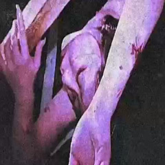 //angelzz*d!ssect!0n clips 𓄧⭒⁎♡ﮩ٨ـ