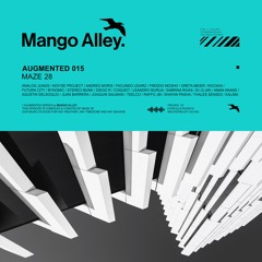 PREMIERE: NOIYSE PROJECT & Bynomic - Hyperquantum (Maze 28 Remix) [Mango Alley]