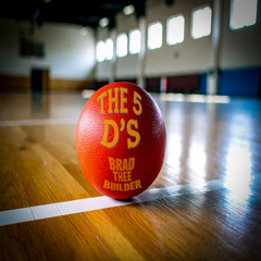 The 5 D's - Brad Thee Builder