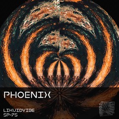 Likuidvibe - Phoenix - SP75 - Stahlplatten