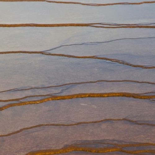 Jake Muir - sampler's delight