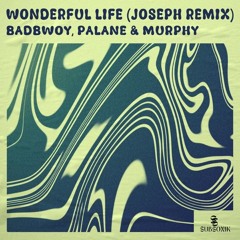 Badbwoy, Palane, Murphy, JOSEPH  - Wonderful Life