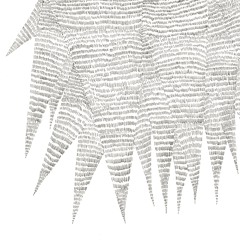 By catching at the twigs that form between bliss and me