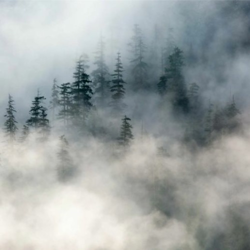 2nd Generation Wu background hd FREE DOWNLOAD