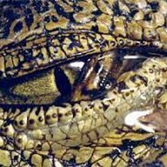 Crocodile Tears By Kuji Fox -