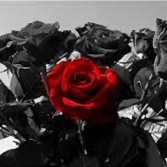 Flowers (RUAR. Remix)