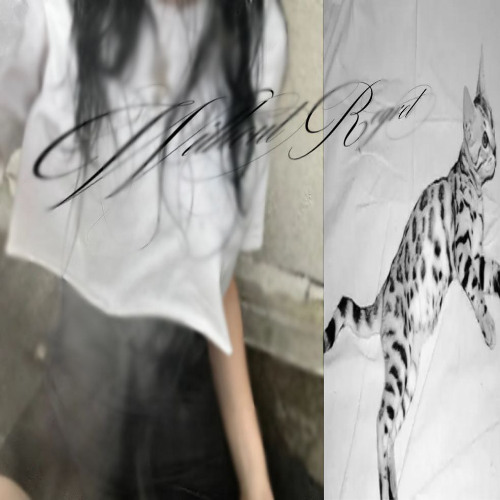 w1f1_em0.com - love u (again) (p. branwen)