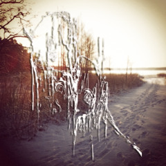 without me [Ole + Spalding + Win2Losee + Stoopidlou]