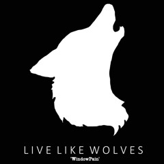 Live Like Wolves - Windowpain (Demo)