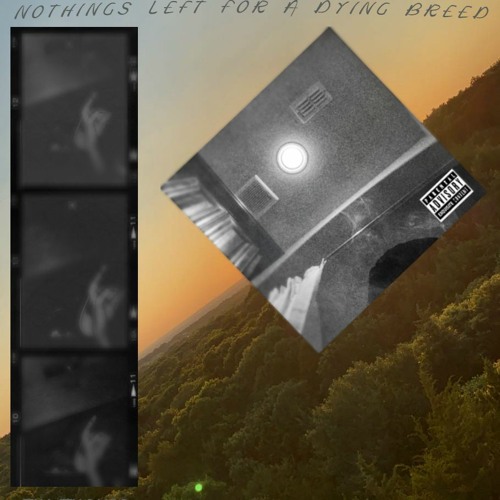 NOTHINGS LEFT FOR A DYING BREED