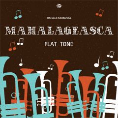 Mahala Rai Banda - Mahalageasca (Flat Tone ReMix) - Filtered For Copyright